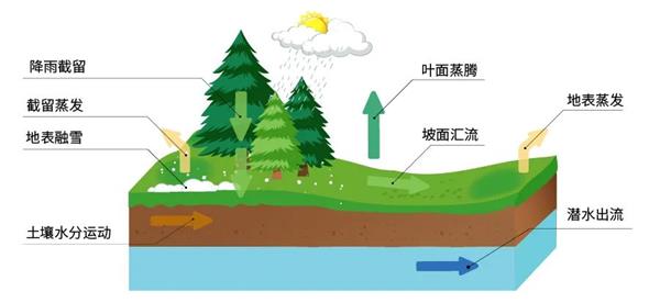 分布式水文預(yù)報(bào)模型的剖面圖